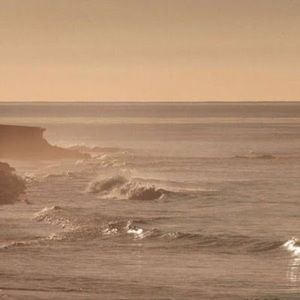 Meet your Posher, Shoaib